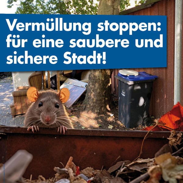 Saubere-Stadt1